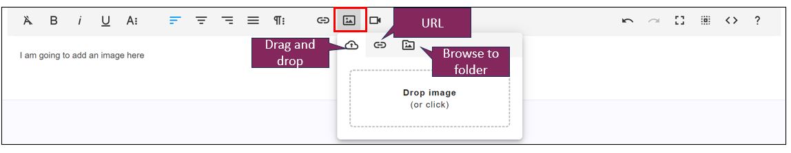 Froala Editor 3b.JPG