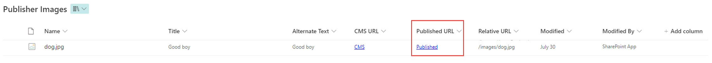 Email Image 5.JPG