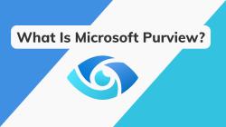 What is Microsoft Purview: Your In Depth Guide