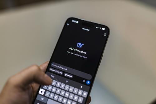 DeepSeek on mobile